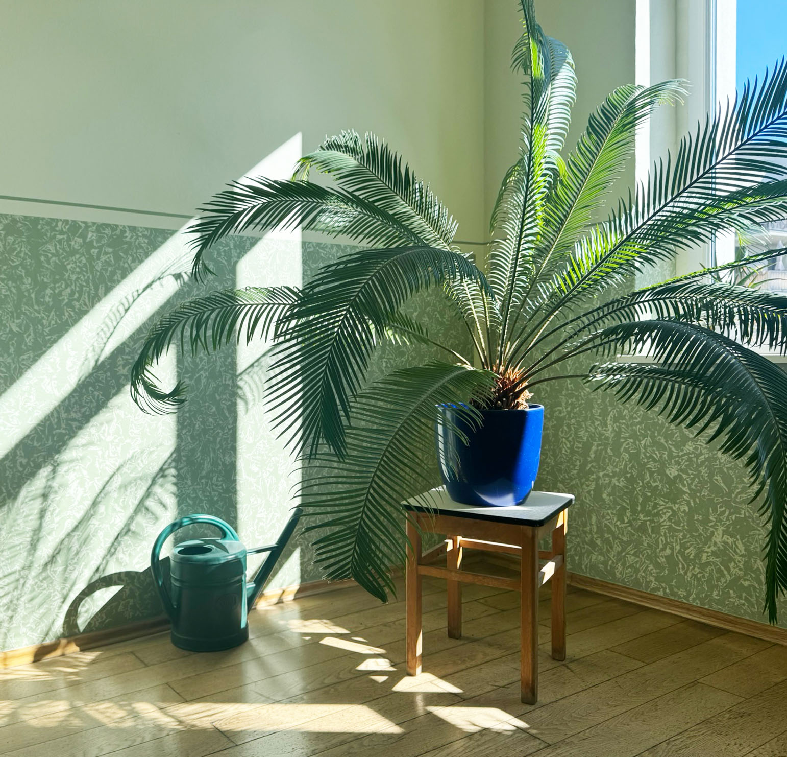 Iyengar Leipzig